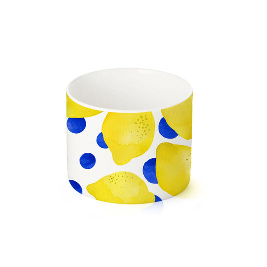 Petit bol citron 🍋